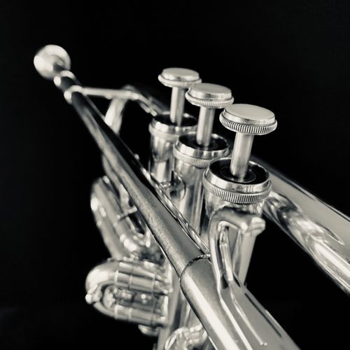 bigband hofheim besetzung trompete